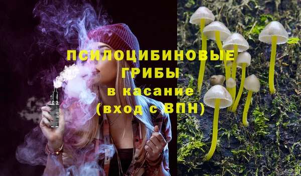 прущий лед Белокуриха