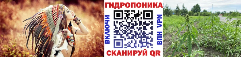 дарнет шоп  Гаврилов Посад  Бошки Шишки сатива 